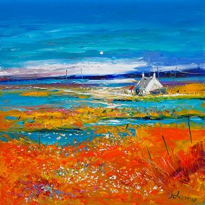 "Machair Wild Cotton and Wild Flowers,